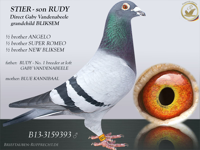 RUDY